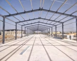 Granero de metal prefabricado de producto caliente Casa de pollos Cobertizo de vacas personalizable Granja de cerdos Agricultura de estructura de acero