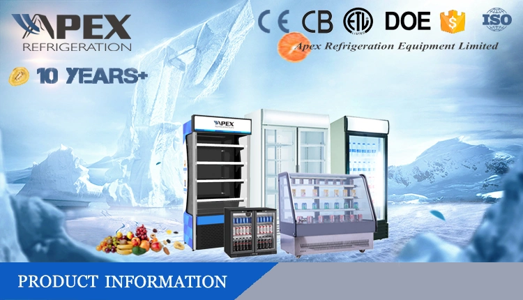 Fashion Design Black Color Store Dynamic Cooling Double Glass Doors Auto Defrost Upright Display Refrigeration Equipment